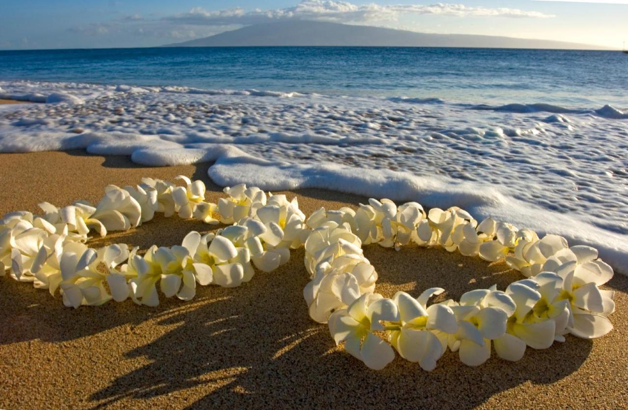 Steps To Waikiki Beach! Newly Renovated With 75" Tv 檀香山 外观 照片
